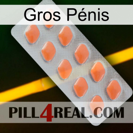 Gros Pénis 26